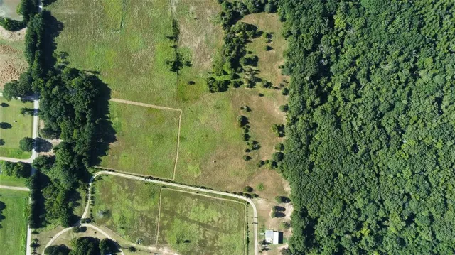 a view of a big yard with potted plants and large trees