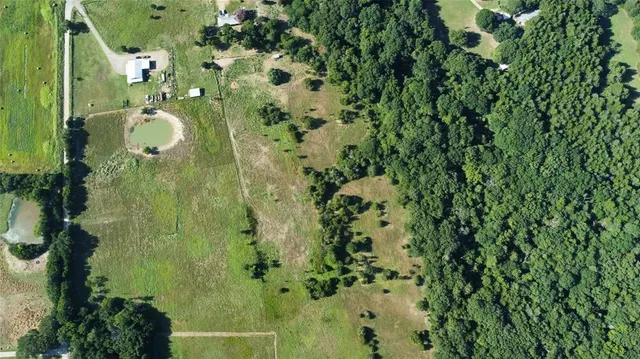 a view of a garden with plants and a bench