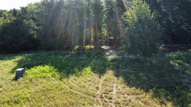 a view of a lush green field