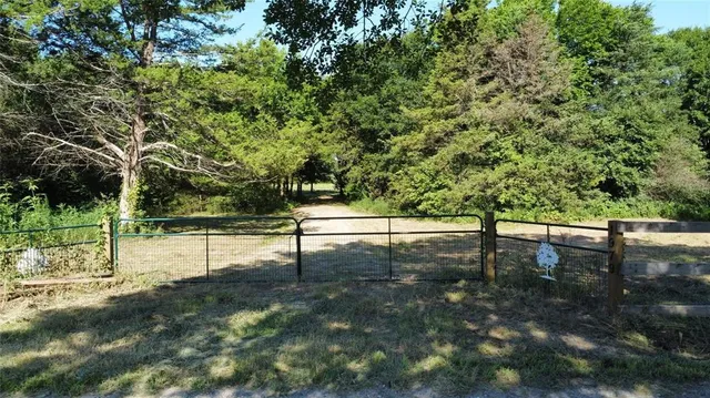 a view of a yard with trees in the background