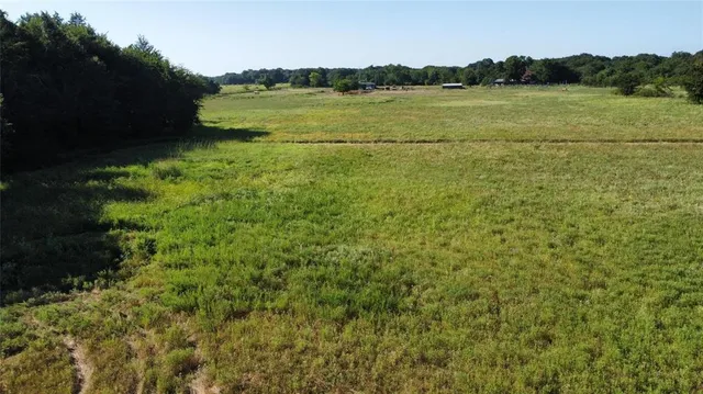 a view of a green field