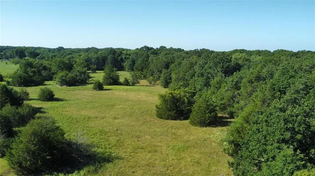 an aerial view of residential houses with outdoor space and trees
