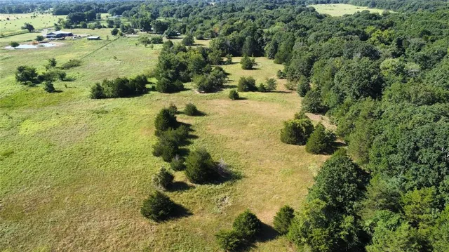 a view of a garden with an ocean