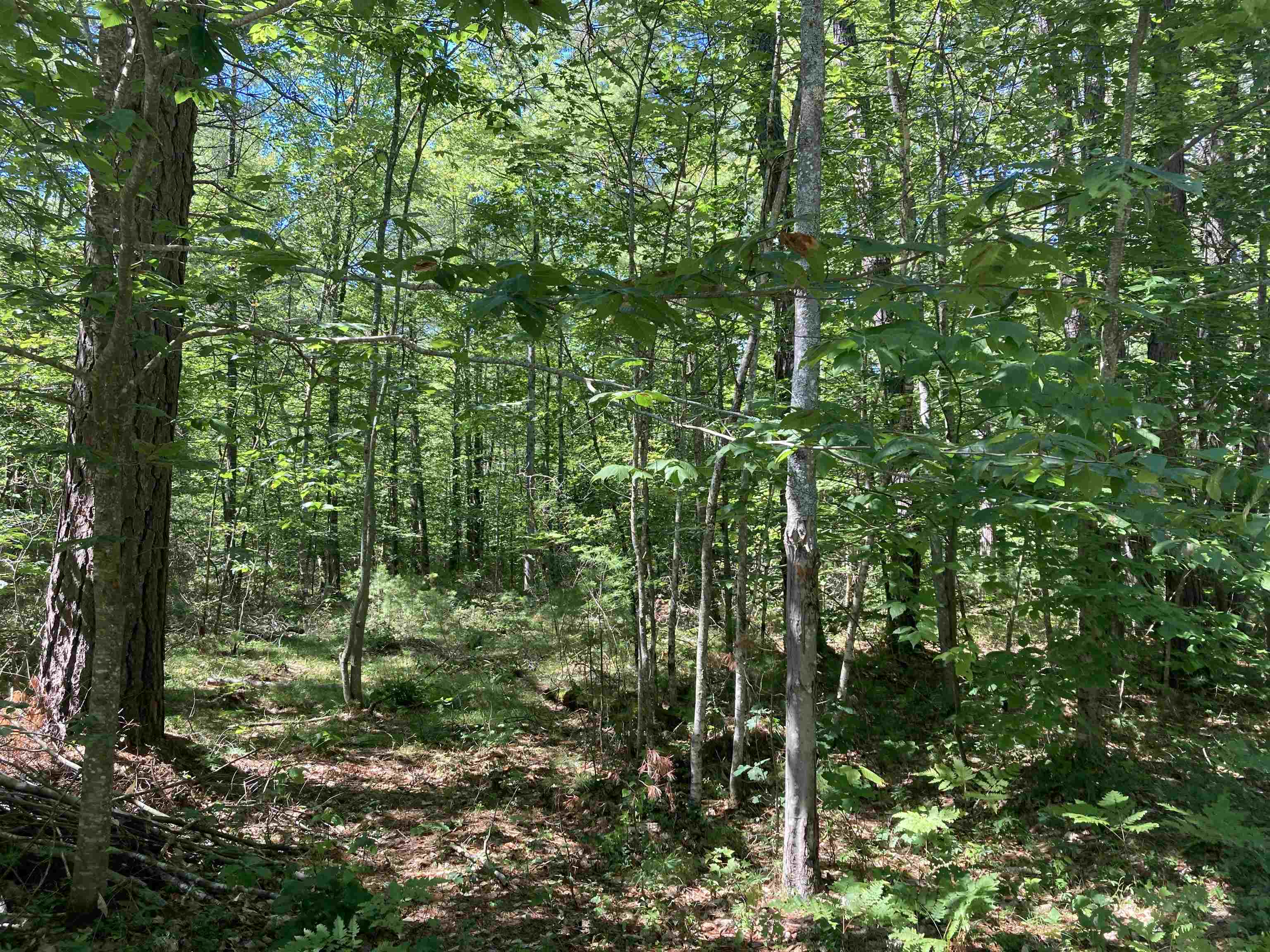 Tbd Shawtown Road Freedom, NH 03836 - Photo 6 of 10 Gallery Image 6