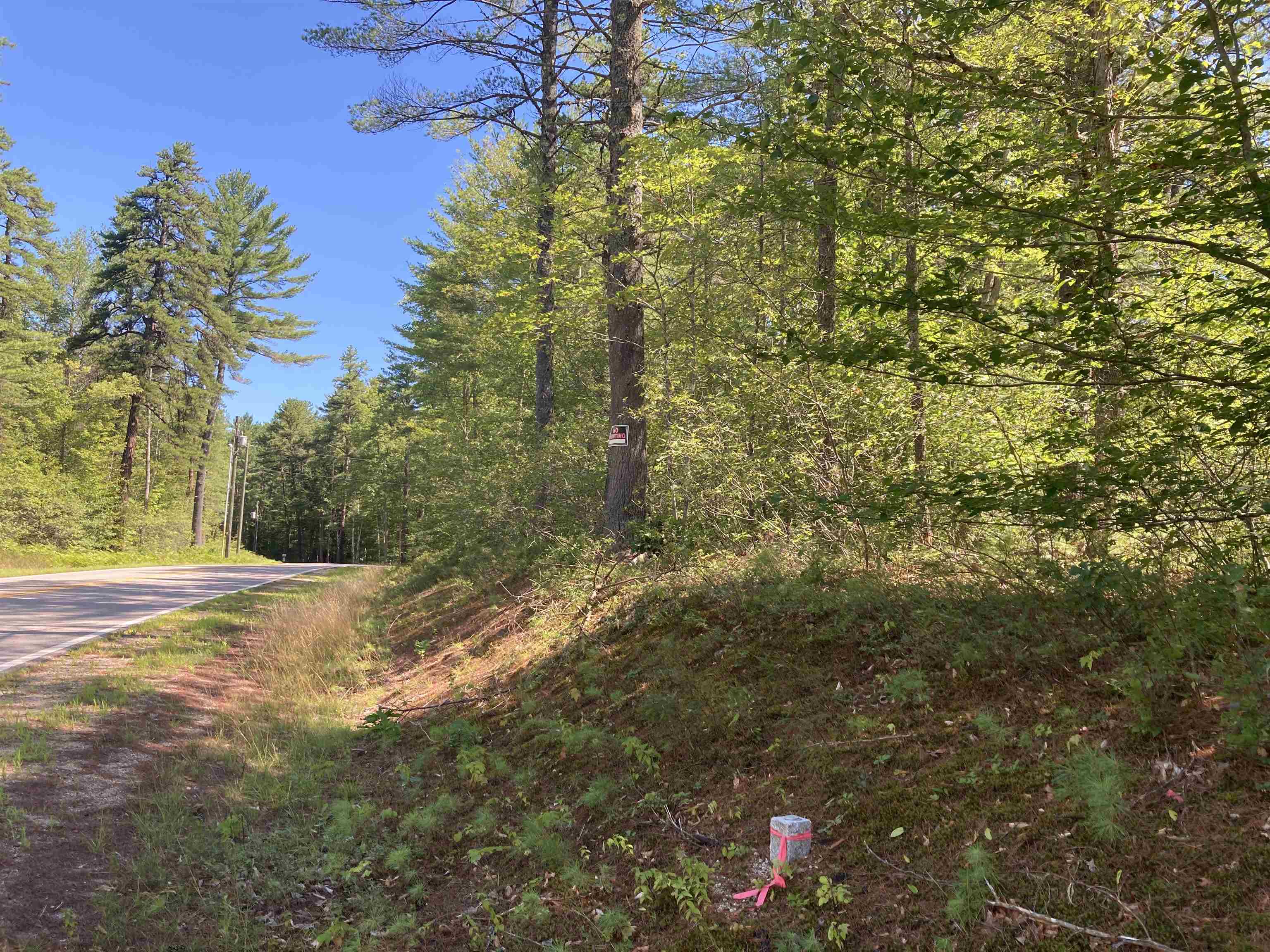 Tbd Shawtown Road Freedom, NH 03836 - Photo 7 of 10 Gallery Image 7