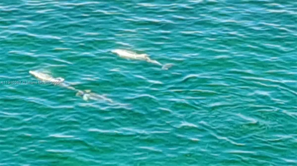 a view of an empty room with glass door