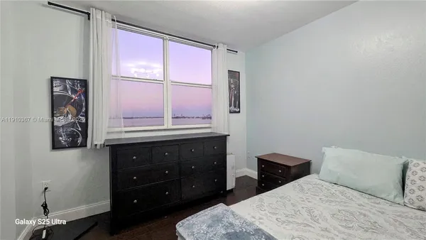 a view of a park with palm trees