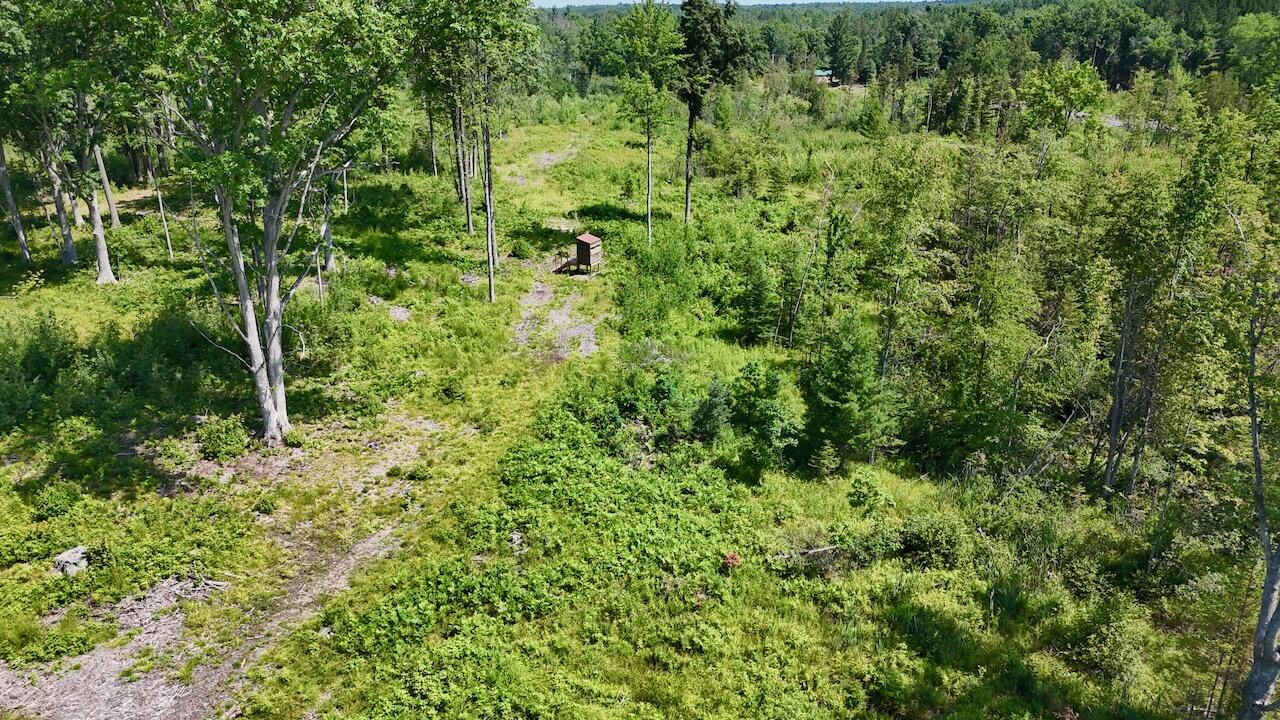 20-ac West Clarence Road Harrison, MI 48625 - Photo 7 of 32 007