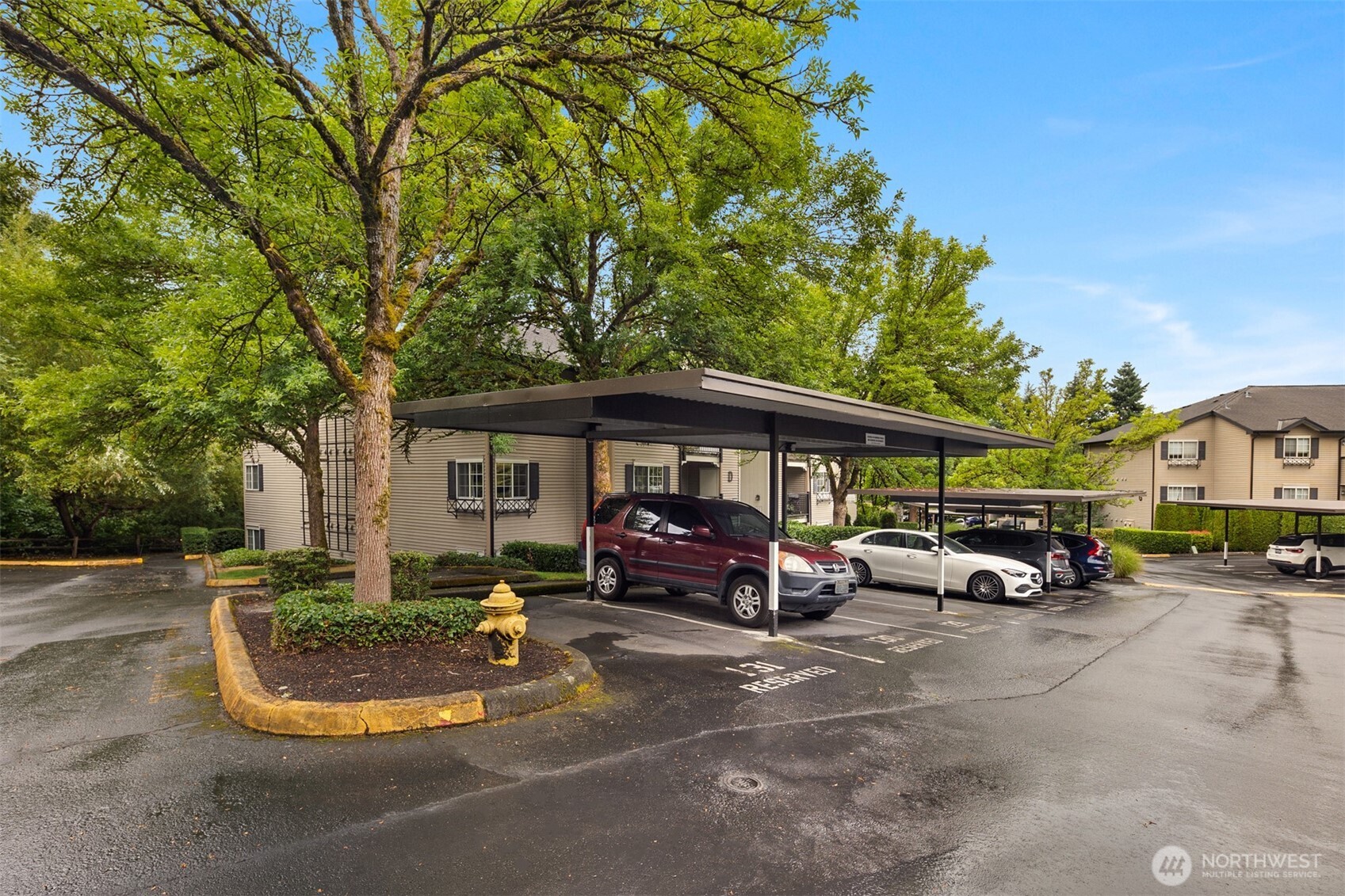 215 9th Street, Unit D102 Kirkland, WA 98033 - Photo 26 of 32 a view of outdoor space yard and patio