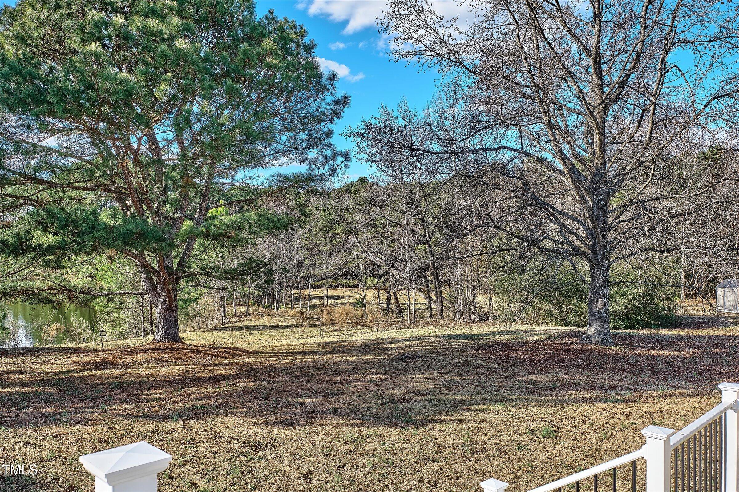 21 Birchwood Circle Coats, NC 27521 - Photo 6 of 36 a view of yard with tree