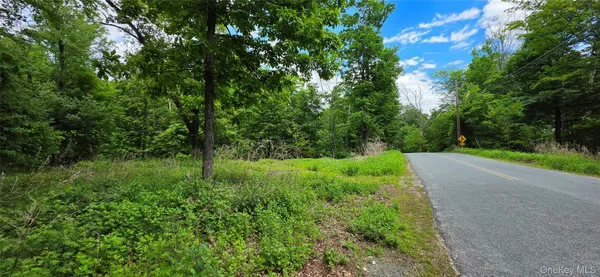$40,000 | Undisclosed Address, Bloomingburg, NY 12790