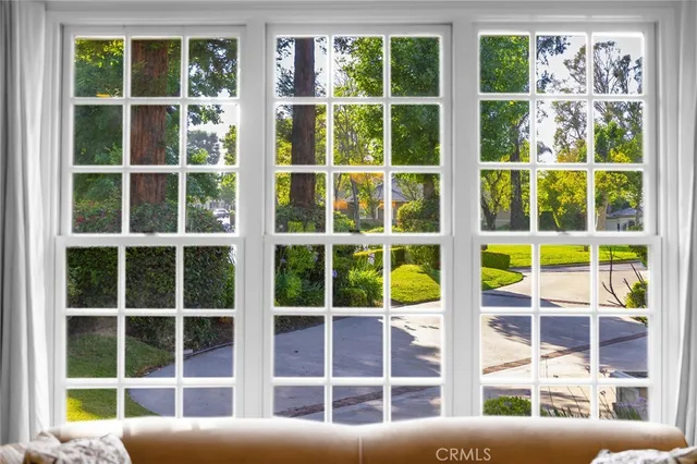 a view of a yard with plants and large trees