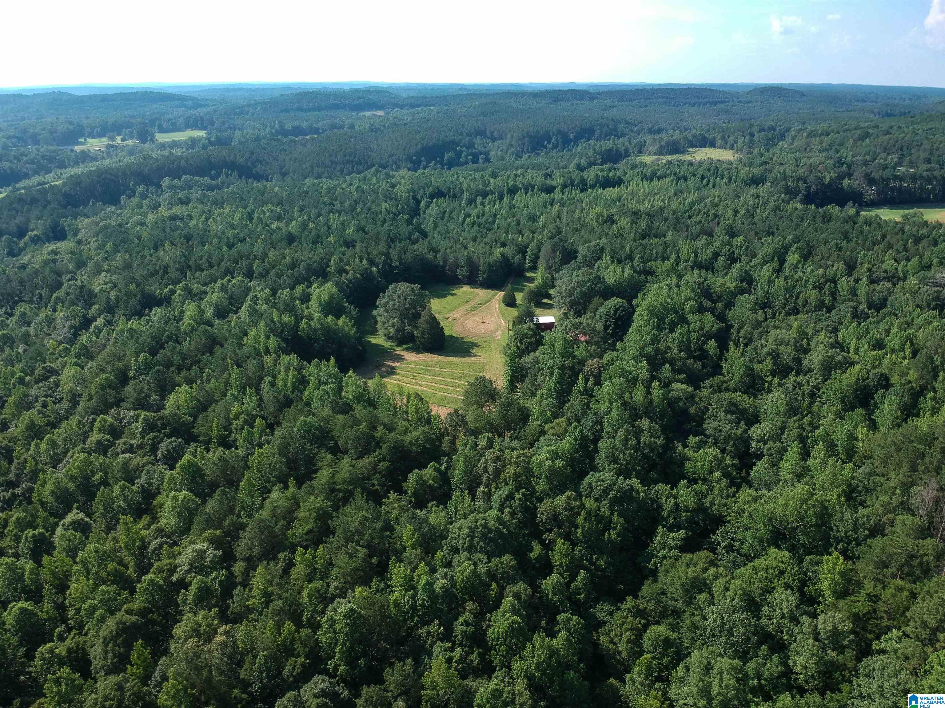 373 Myers Road Berry, AL 35546 - Photo 13 of 74