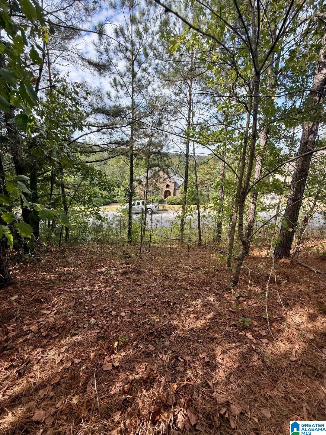 325 Deer Ridge Lane, Unit 29 Chelsea, AL 35043 - Photo 10 of 17