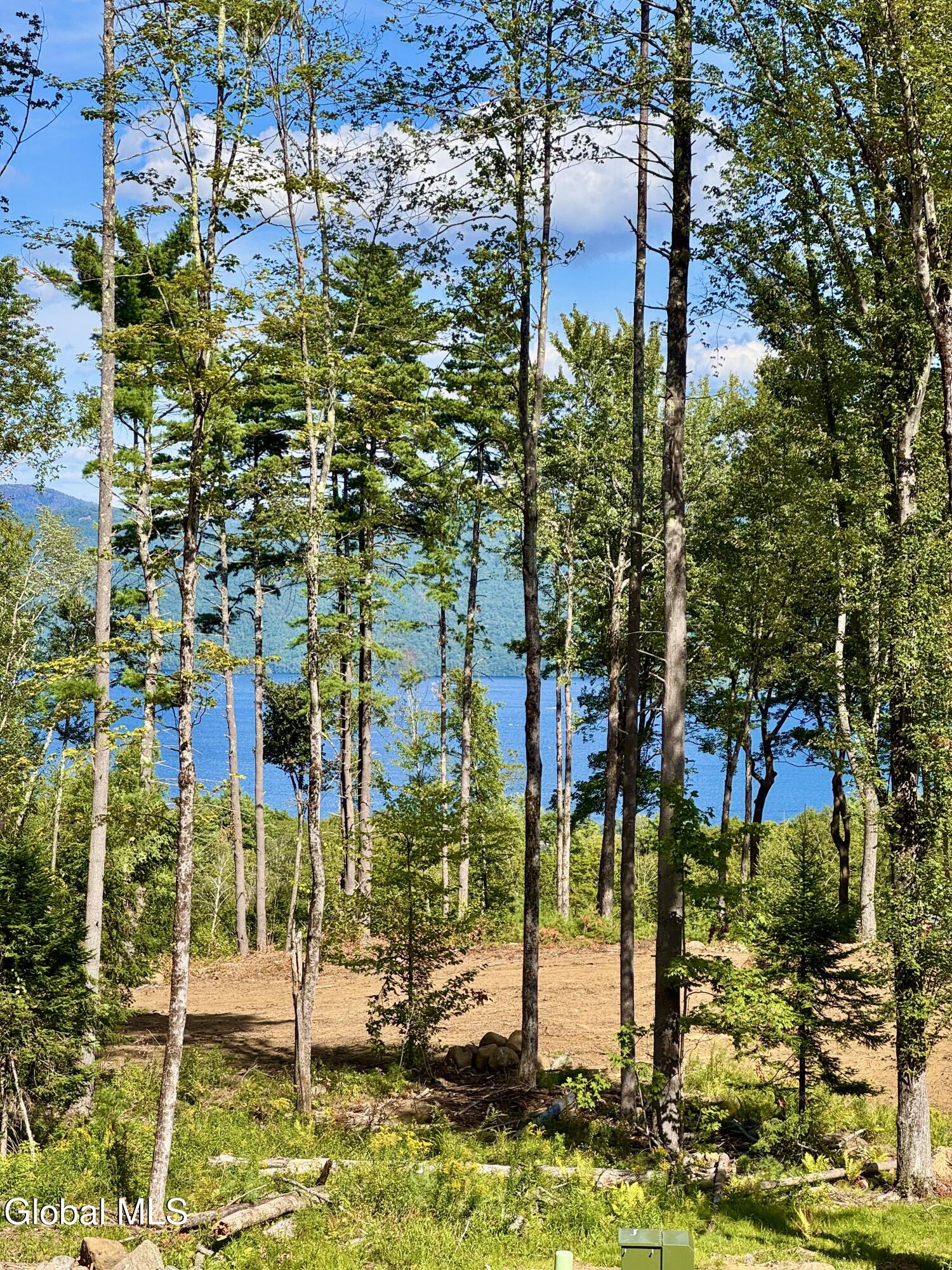 11 South Eagle Ridge Diamond Point, NY 12824 - Photo 43 of 48 IMG_1673