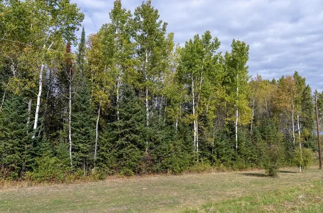 $119,000 | 11 Highway 11, International Falls, MN 56649