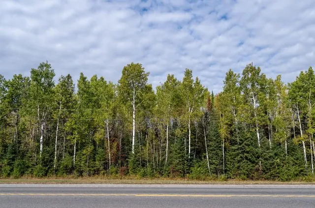 $119,000 | 11 Highway 11, International Falls, MN 56649