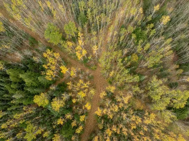 $119,000 | 11 Highway 11, International Falls, MN 56649