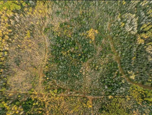 $119,000 | 11 Highway 11, International Falls, MN 56649