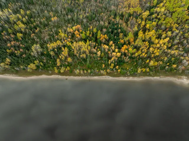 $119,000 | 11 Highway 11, International Falls, MN 56649