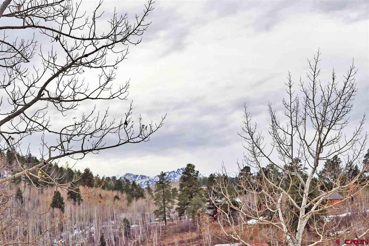 22 Alpine Lane Ridgway, CO 81432 - Photo 2 of 5 Gallery Image 2