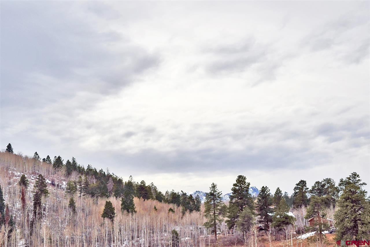22 Alpine Lane Ridgway, CO 81432 - Photo 5 of 5 Gallery Image 5