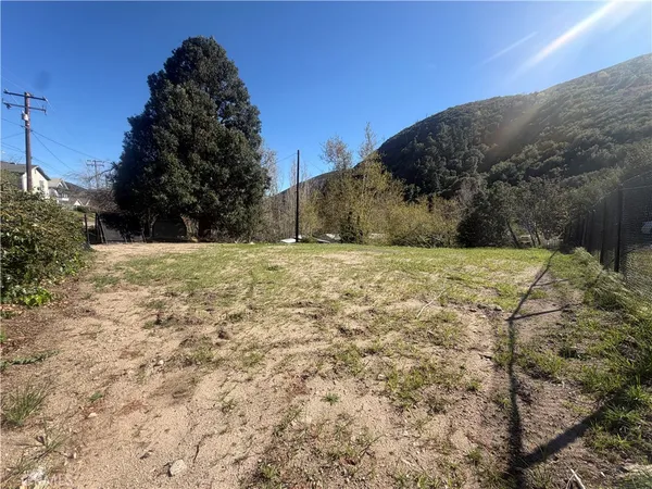 a view of a yard with a tree