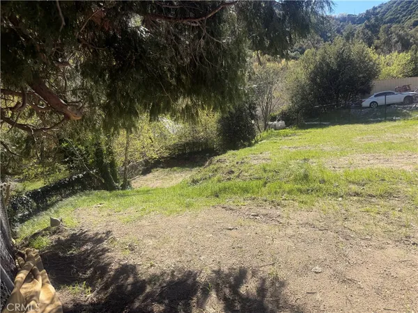 a view of outdoor space with trees