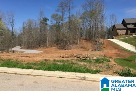 321 Camp Forrest Trail, Unit 772 Helena, AL 35080 - Photo 1 of 10