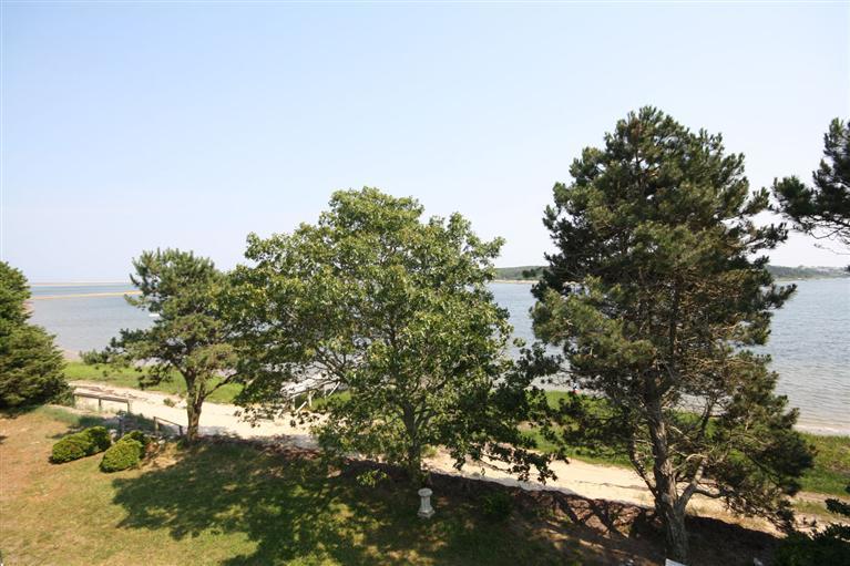 58 Old Salt Works Road Chatham, MA 02633 - Photo 8 of 15 a backyard of a house