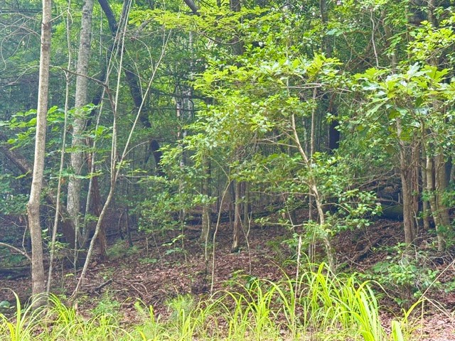 9 Timberline Road Murphy, NC 28906 - Photo 14 of 14 Gallery Image 14