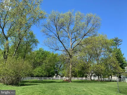 a view of a park with large trees