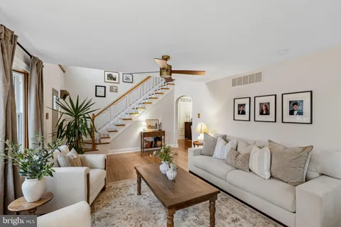 a living room with furniture or couch and a potted plant