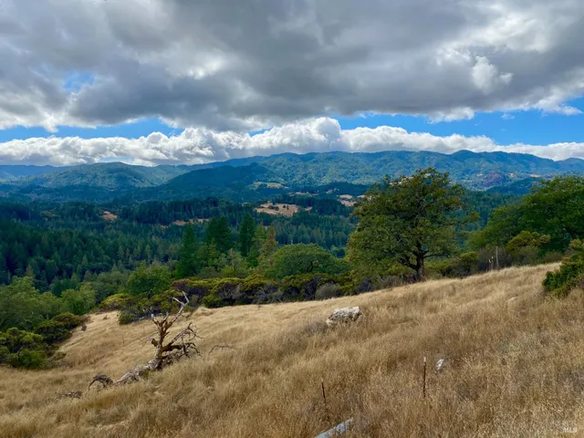 a view of a city street from a yard