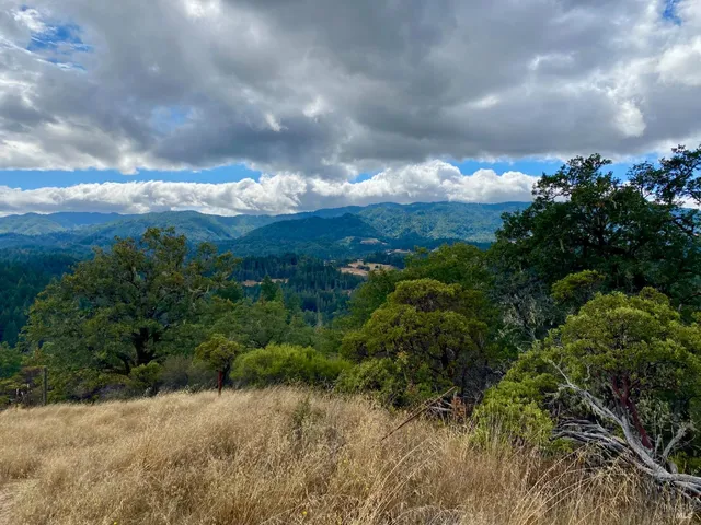 a view of a backyard of a house