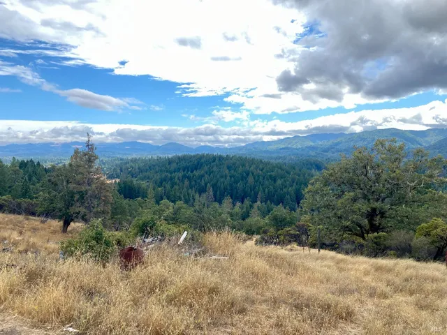 a view of a yard with an outdoor space