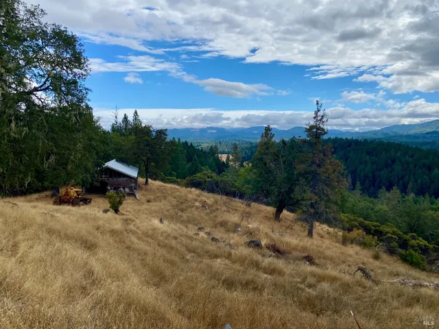 a view of a yard with wooden fence