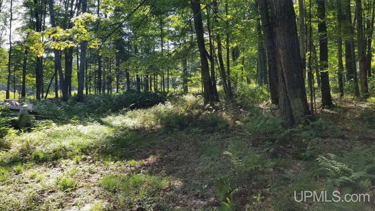 217 Reiman Road Iron River, MI 49935 - Photo 61 of 76