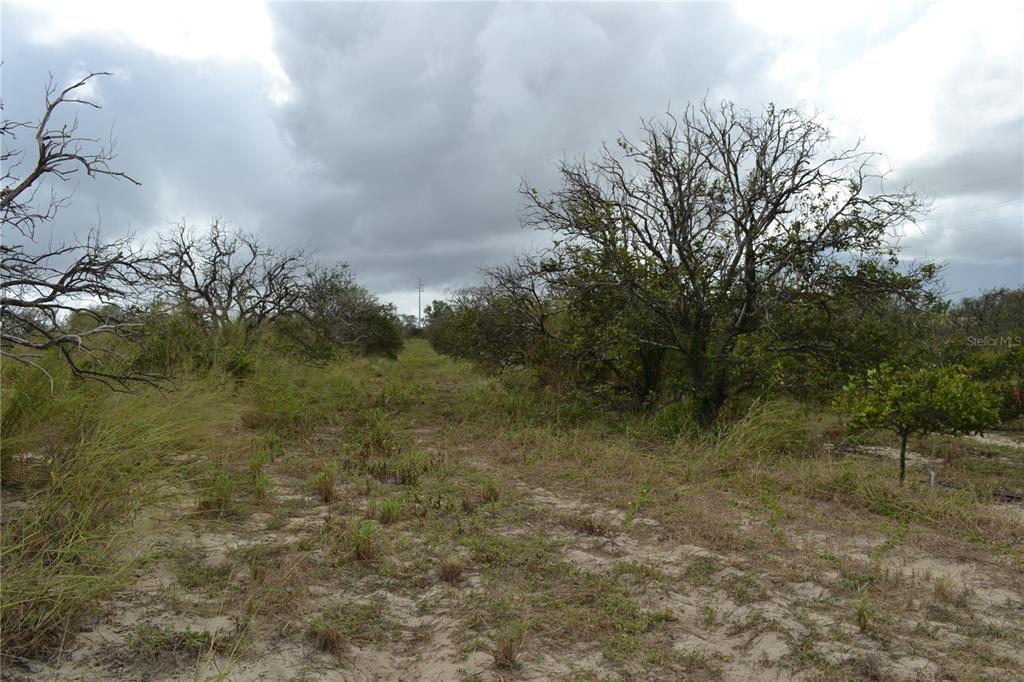 Lake Patrick Road North Babson Park, FL 33827 - Photo 11 of 15