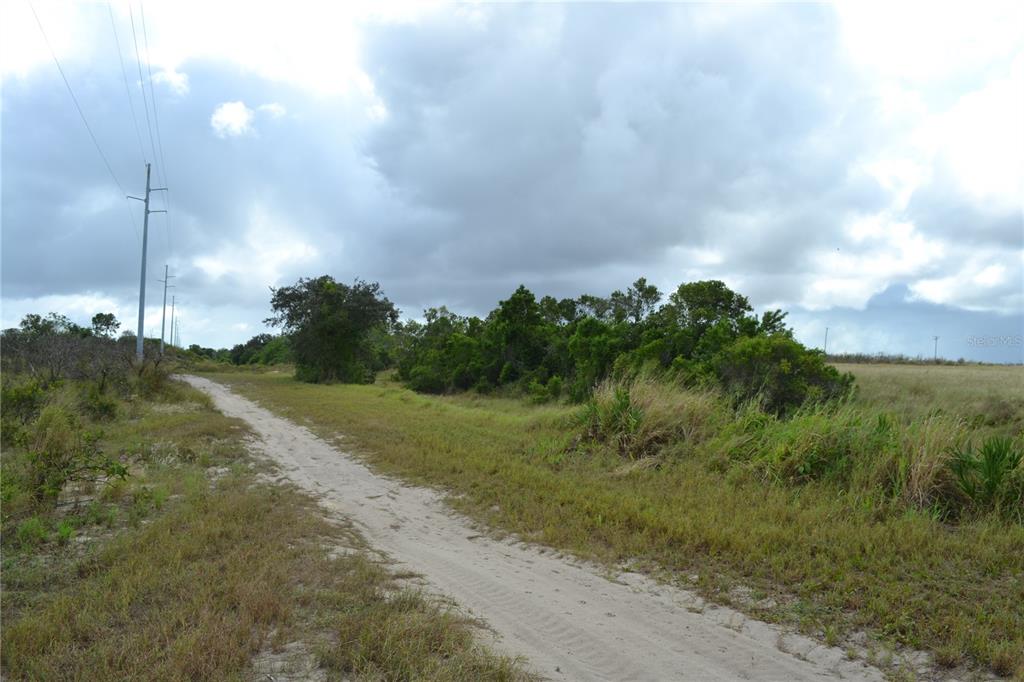 Lake Patrick Road North Babson Park, FL 33827 - Photo 12 of 15