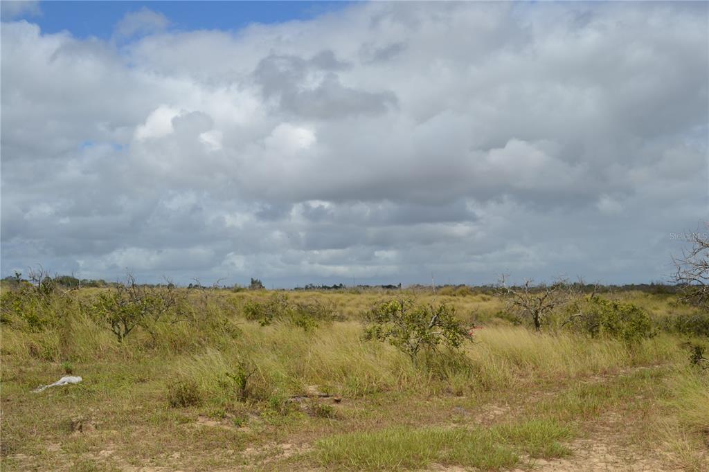 Lake Patrick Road North Babson Park, FL 33827 - Photo 2 of 15