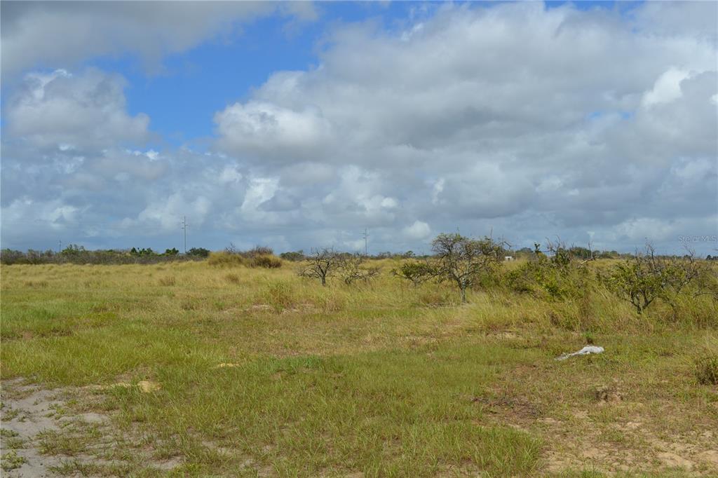 Lake Patrick Road North Babson Park, FL 33827 - Photo 4 of 15