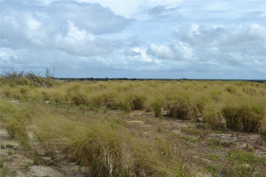 Lake Patrick Road North Babson Park, FL 33827 - Photo 6 of 15