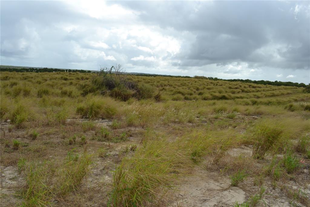 Lake Patrick Road North Babson Park, FL 33827 - Photo 10 of 15