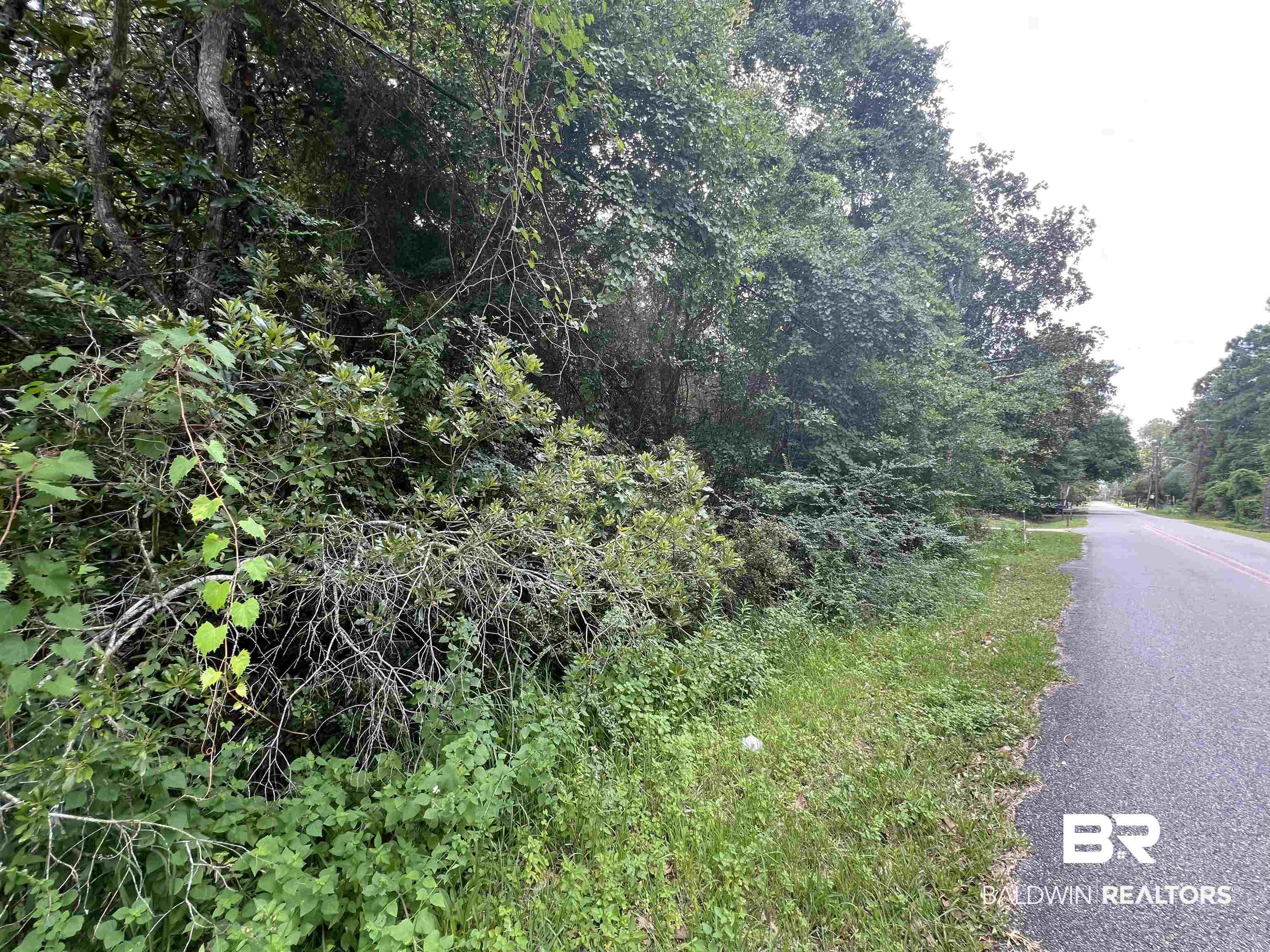 6789 Bay Road Mobile, AL 36605 - Photo 1 of 12 View of street