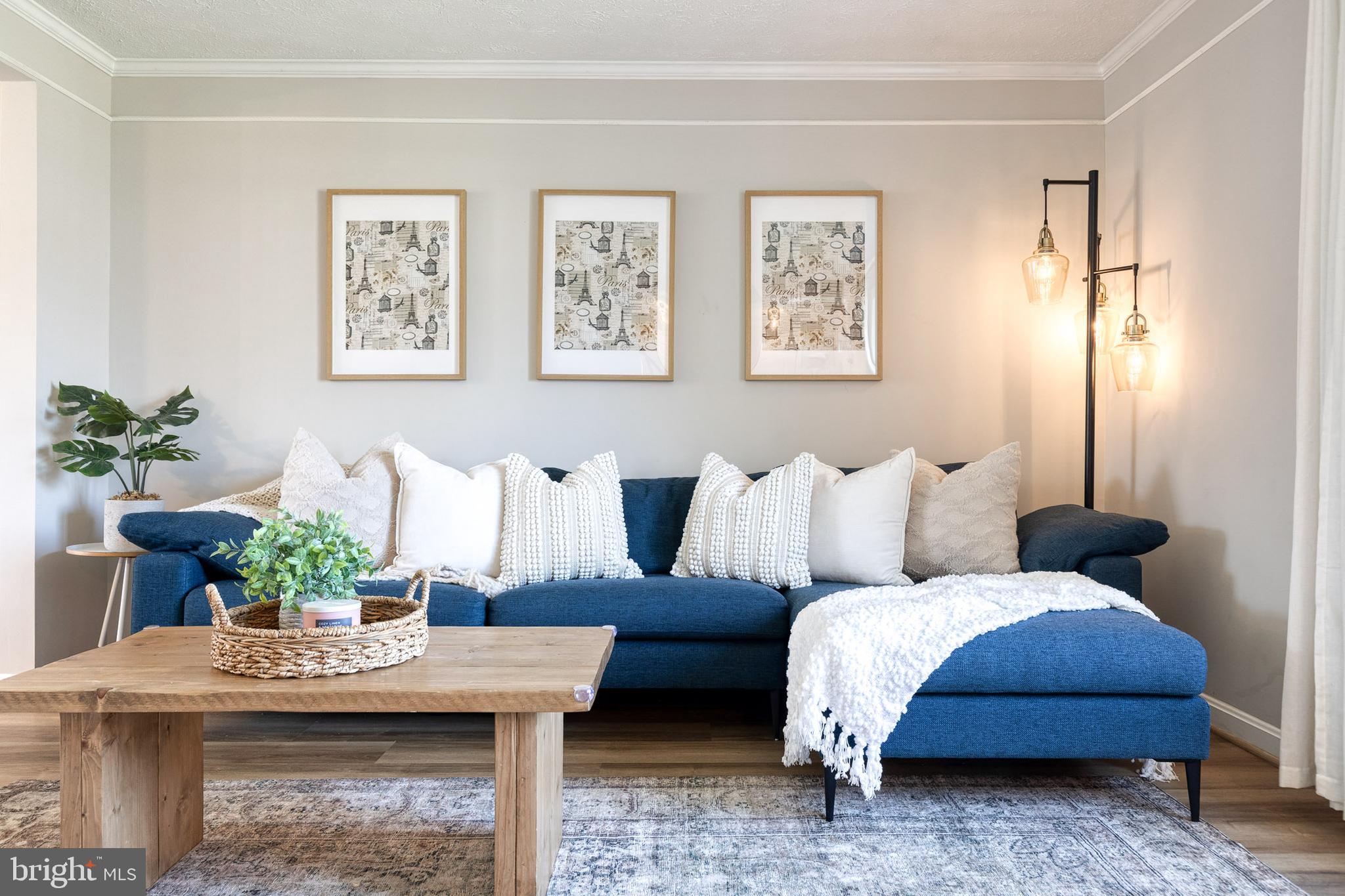 a living room with furniture potted plant and a window