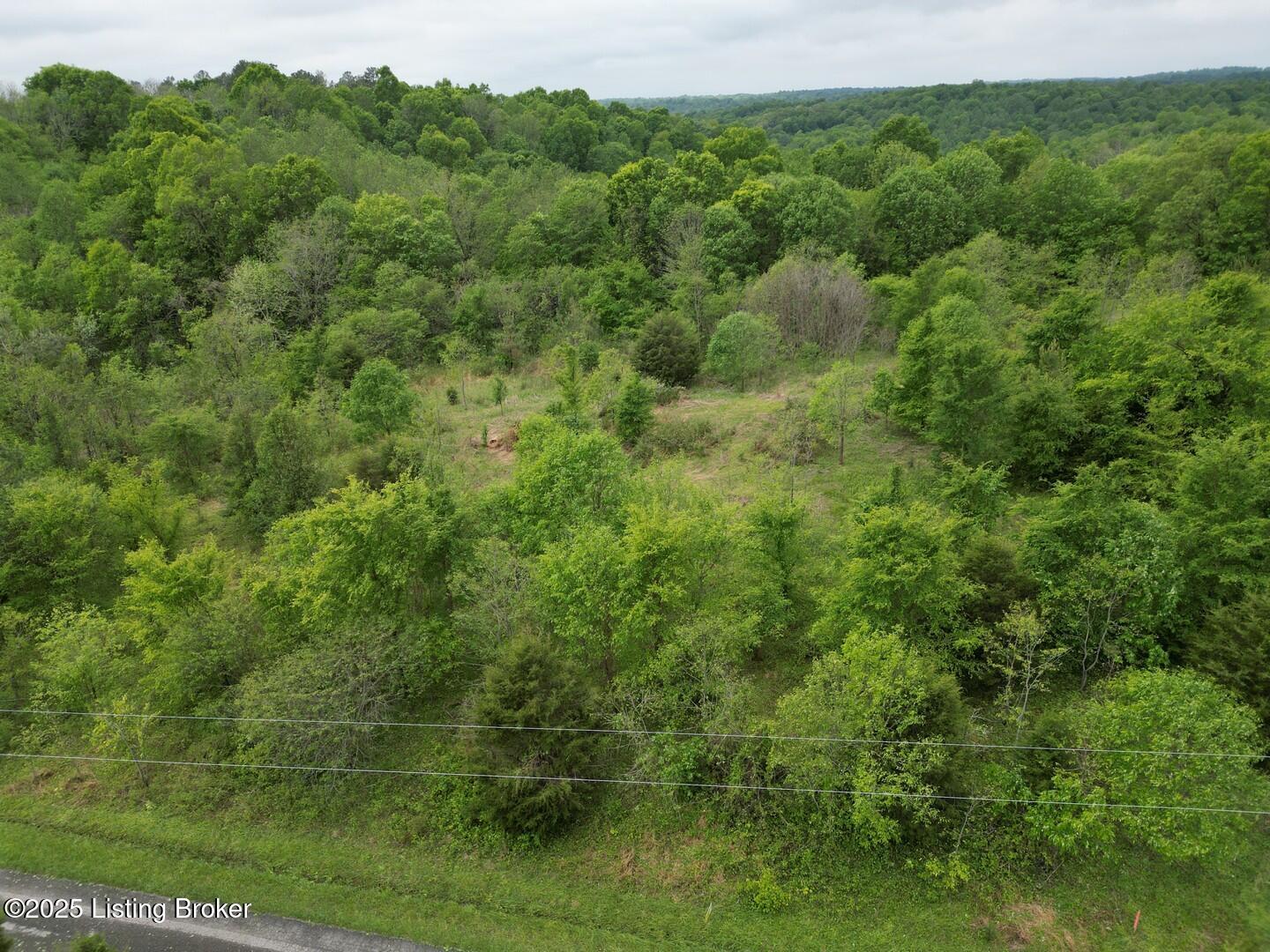 Lot 14 Duvall Road Caneyville, KY 42721 - Photo 7 of 8 L14-5