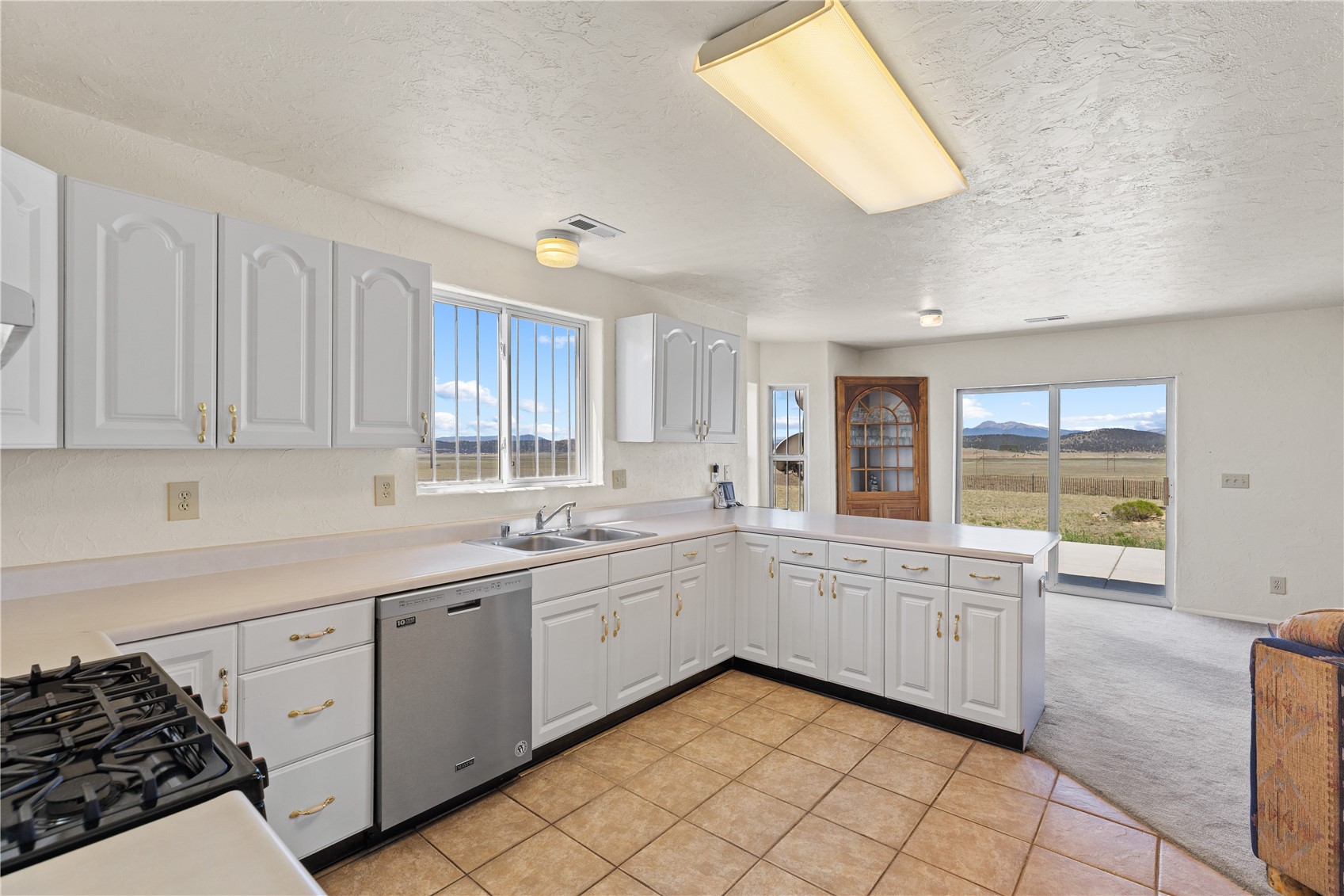 1421 Larimer Road Hartsel, CO 80449 - Photo 23 of 44 Gallery Image 23