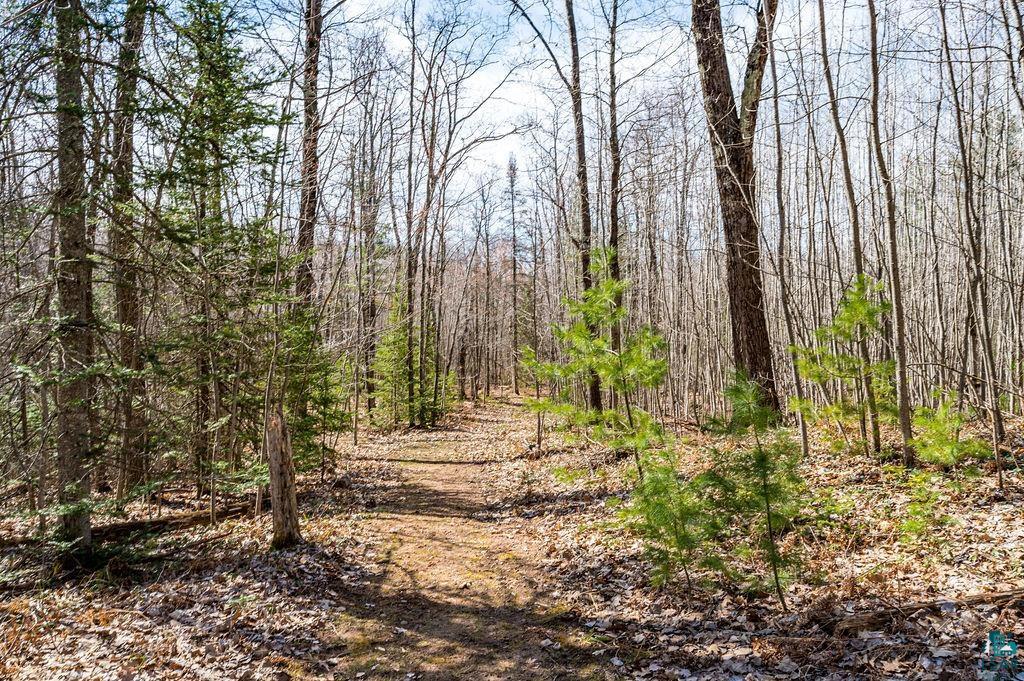 11754 Knoll Road Lake Nebagamon, WI 54849 - Photo 17 of 29