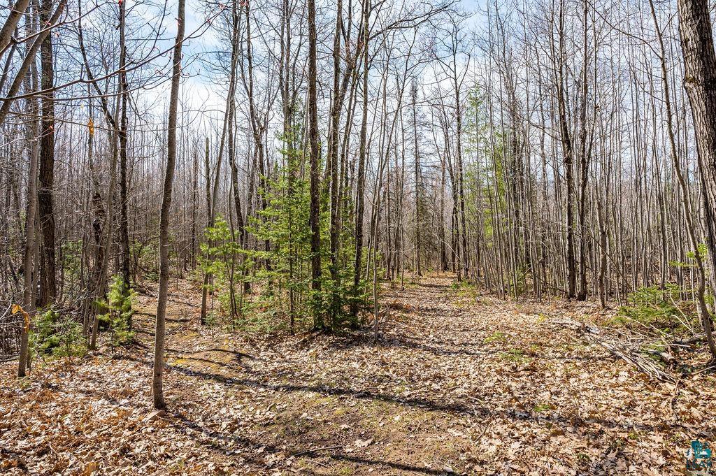 11754 Knoll Road Lake Nebagamon, WI 54849 - Photo 18 of 29